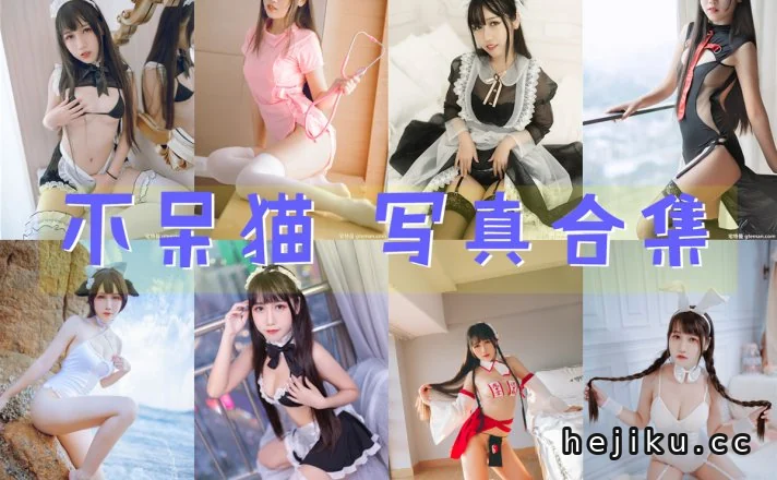 不呆猫在(X)推特上叫什么名字插图